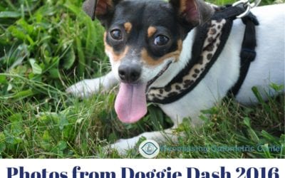 More Pictures From The Doggie Dash 2016